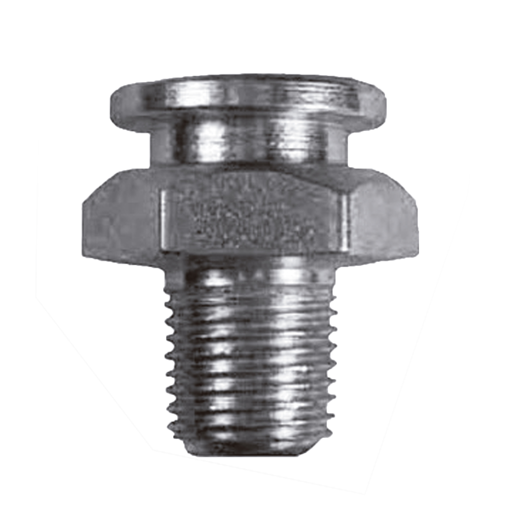 Graxeira Standard Tipo Botão Lupus MLP-1028 Ø 3/8" BSP