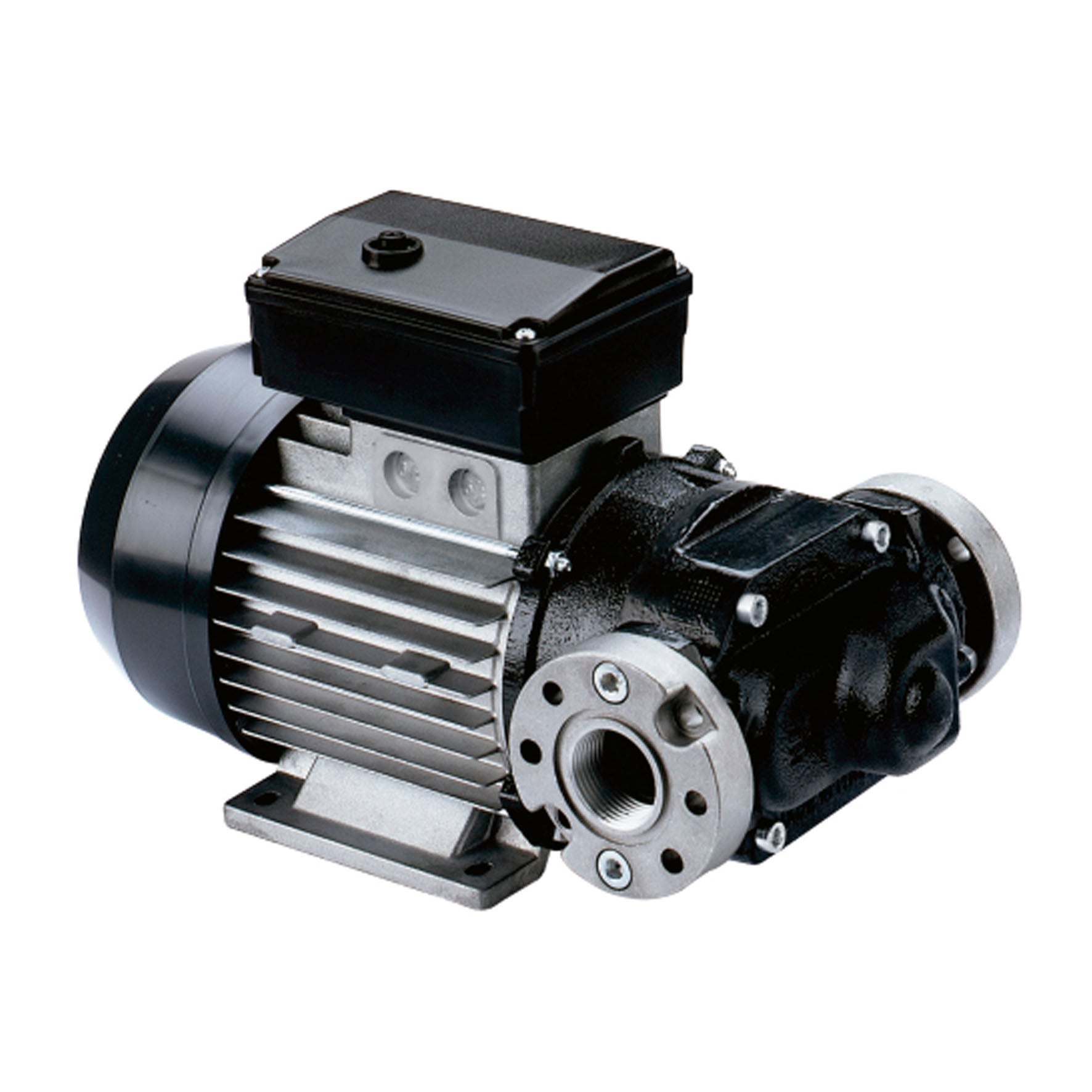 Bomba de Transferência Elétrica 220V Piusi 9123P-100S 100LPM
