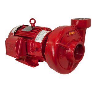Motobomba Centrífuga Thebe THSI-18 Monobloco com Motor 3cv