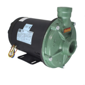 Motobomba Centrífuga Thebe TH-16 Monobloco com Motor 2cv
