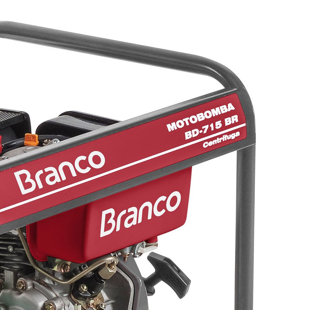 Motobomba Partida Manual para Água Branco BD-715 Centrífuga 16 m3/h Motor 5CV Sucção 1.1-2 Pol Recalque 1 Pol - Imagem 2