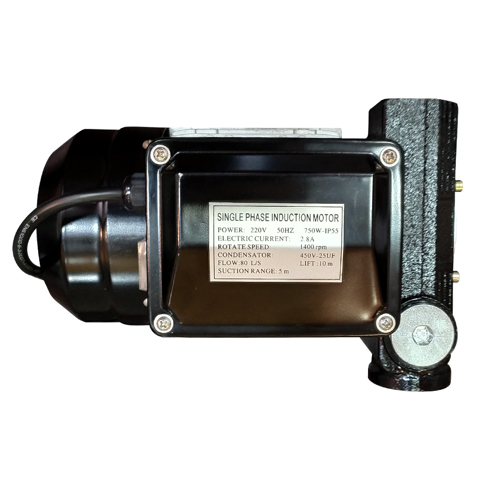 Bomba de Palhetas para Diesel Lubmix MIX-BD220V80 Ø 1" Pol 80 L/Min - Imagem 4