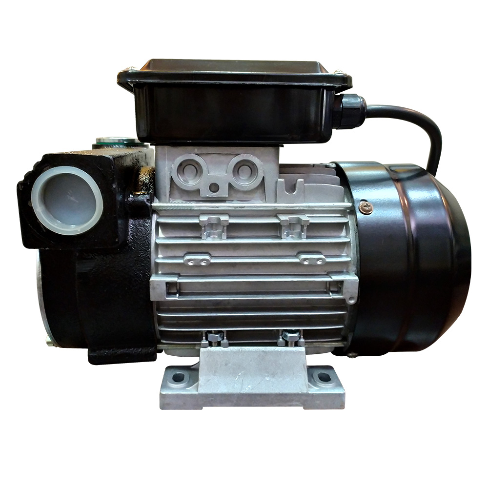 Bomba de Palhetas para Diesel Lubmix MIX-BD220V80 Ø 1" Pol 80 L/Min - Imagem 3