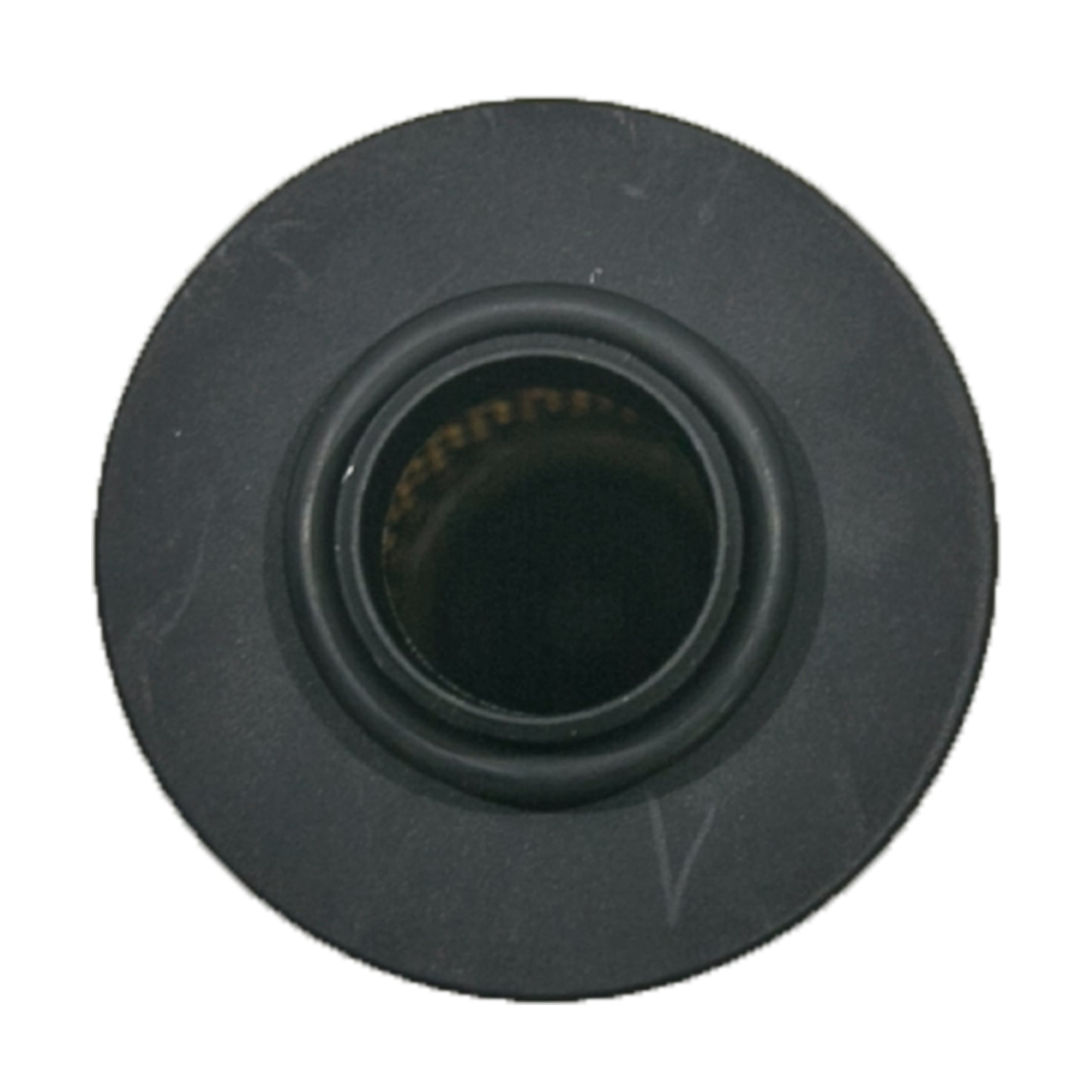 Elemento Filtrante para Absorção de Água e Partículas Piusi 9181-EH 70LPM 30 Micra - Imagem 2