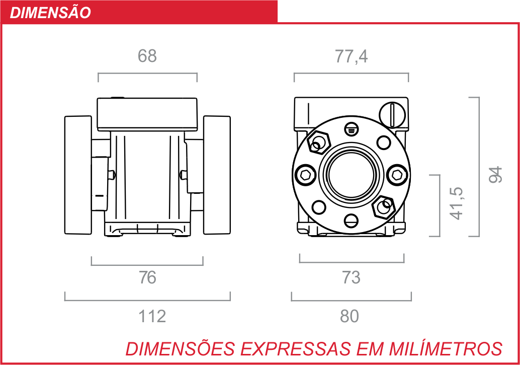 Medidor de Pulso para Óleo Lubrificante e Diesel Piusi MLP-2150-P Entrada e saída de 3-4 Polegada BSP - Imagem 4