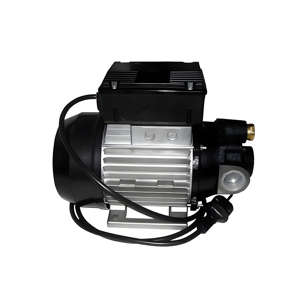 Bomba de Palhetas Piusi 9111 Elétrica 220V Óleo Lubrif E-S 1 Polegada BSP 50Lpm - Imagem 2